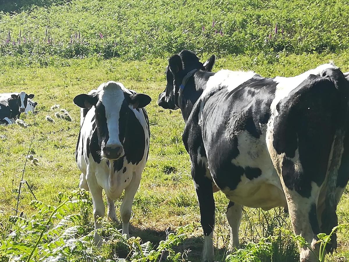 Le Gite Donemat Ploudalmézeau Exteriér fotografie